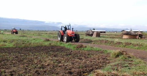 Agribusiness & Food