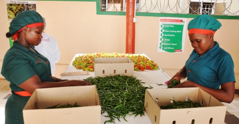 Food Processing