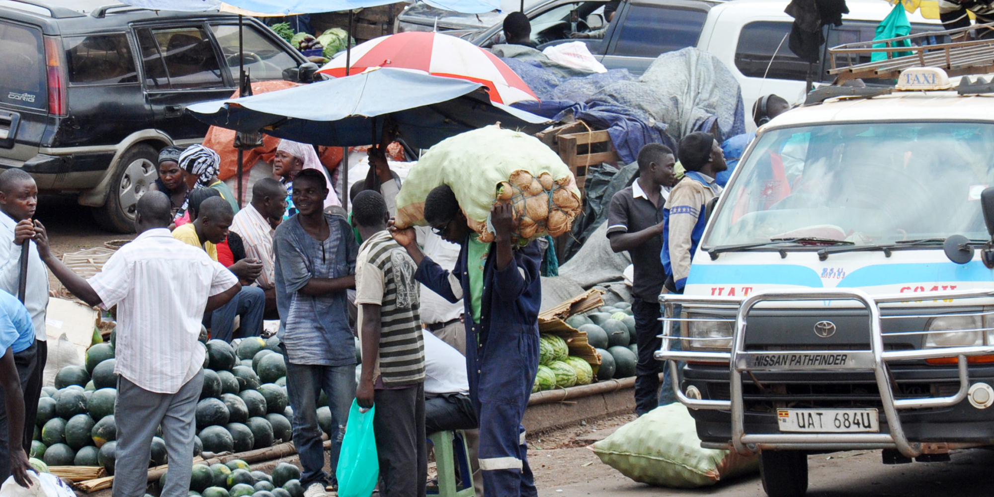 Agribusiness & food systems